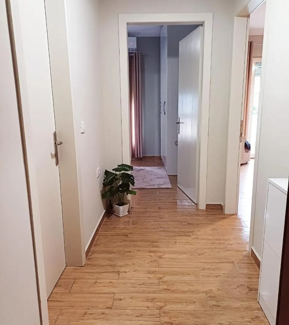 Apartamento Tushemisht 公寓
